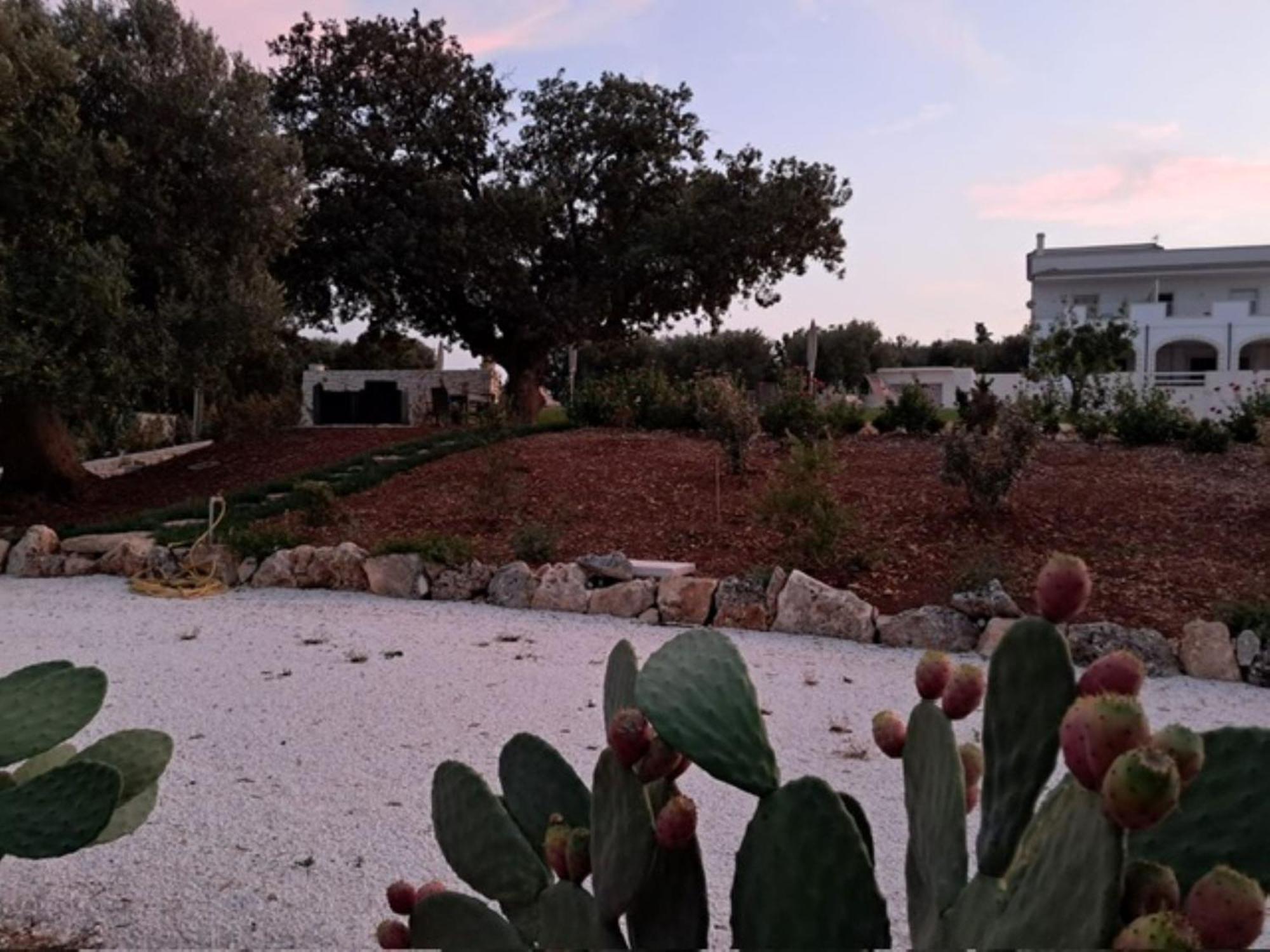Casa Vacanze 'La Quercia' Cisternino Kültér fotó